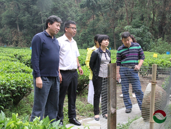 深圳麒麟山庄总经理贾军一行到滇红集团参观